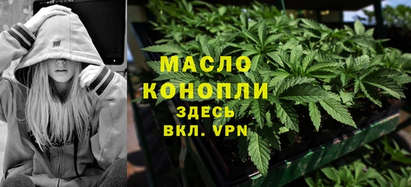 гидра Бородино
